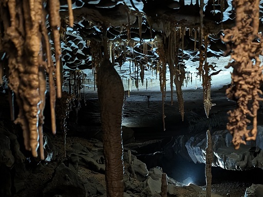 Picture of delicate cave formations with backlighting.